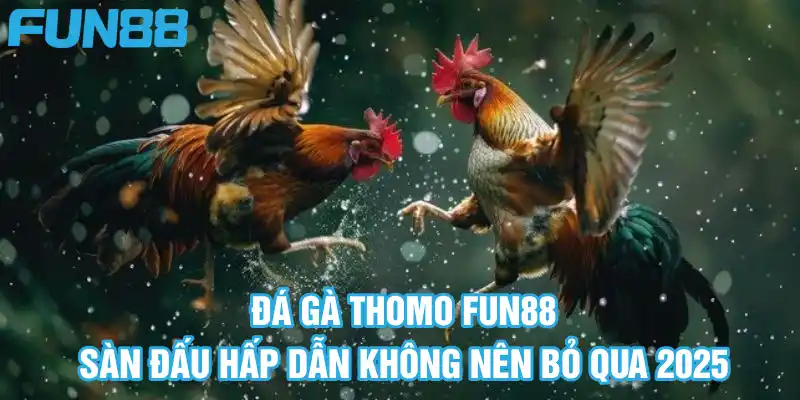 da ga thomo fun88 san dau hap dan khong nen bo qua 2025
